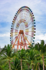 Fototapeta premium observation wheel park