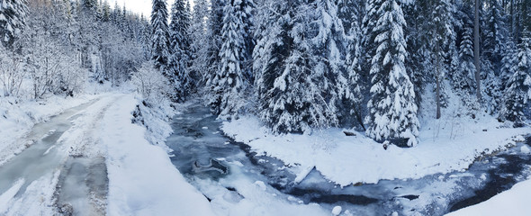 Beautiful winter landscape. Frozen river and green firs covered with snow.