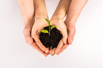cropped view of woman and man holding soil with sprout isolated on white, earth day concept