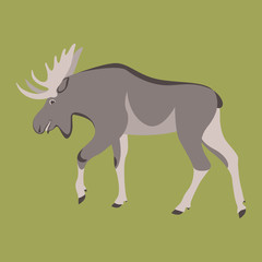 cartoon moose ,vector illustration ,flat style ,profile 