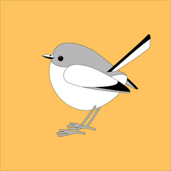 eastern bluebird  ,vector illustration ,lining draw ,profile 