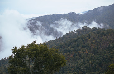 Morning fog, white sky, blue sky