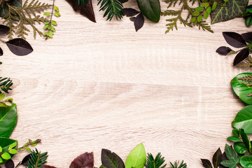  Leaves on a light background