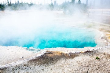 Yellowstone National Park in Wyoming and Montana, USA 
