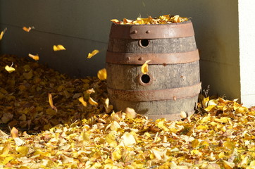 Holz Bierfass Laub beer barrel leaves Herbst