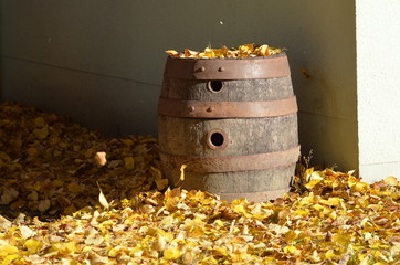 Bierfass mit Laub beer barrel with leaves