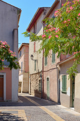 Obraz premium Typical street with Albizia julibrissin trees blooming at Martigues in France, a commune northwest of Marseille.