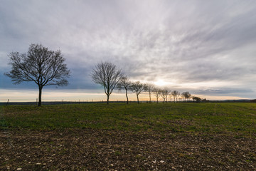 Sch&ouml;ne Natur Szene im gegen Licht