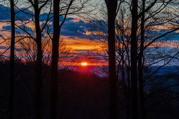 Fototapeta premium Sonnenuntergang zwischen Bäumen
