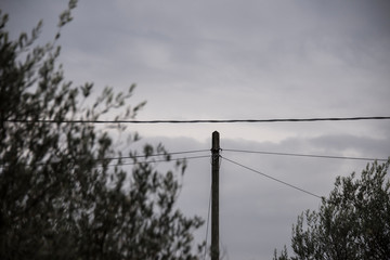 Stromleitung in der Natur