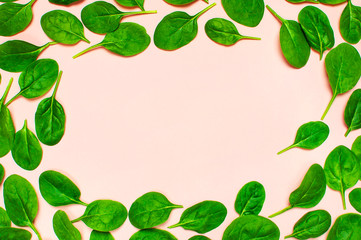 Frame of fresh green spinach leaves on pink background Flat lay top view. Creative food concept. Ingredient for salad. Vegetable pattern design. Healthy lifestyle.