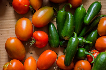 Rote frische Tomaten für deine Speise