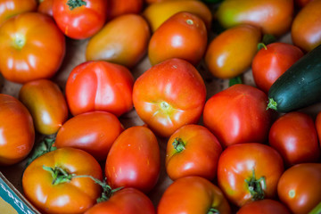 Rote frische Tomaten für deine Speise