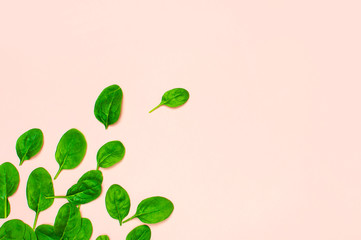 Fresh green spinach leaves on pink background Flat lay top view copy space. Creative food concept. Ingredient for salad. Vegetable design. Healthy lifestyle.