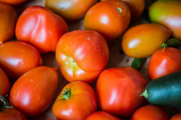 Rote frische Tomaten für deine Speise