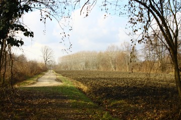 agricoltura campo agricolo panorama natura