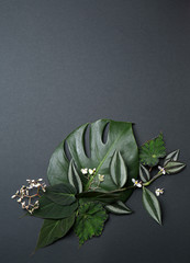Composition with fresh tropical leaves on grey background