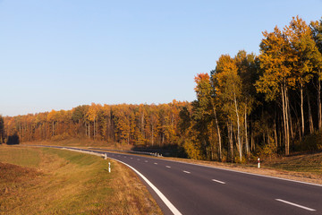 The asphalt road
