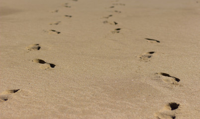 Fototapeta na wymiar pair of footprints in the sand fading into the distace 