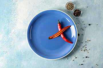 Stylish plate with chili peppers and spices on color background