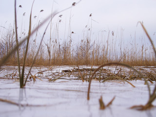 Ice on the lake