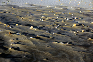close up of beach sand texture washed by the water with natural sunset light