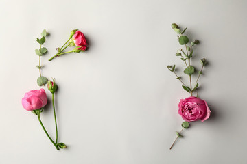 Beautiful flowers with eucalyptus branches on light background