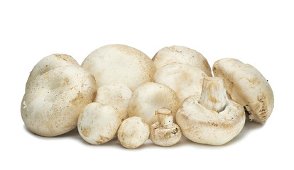 Champignon mushrooms artificially grown on a white background