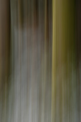 Abstract tree trunks, motion blurred, Belledonne mountains, Isere, France