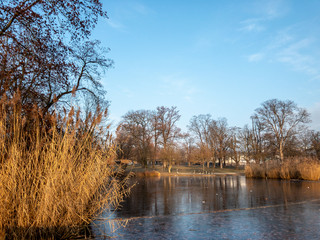 Lake in the park on a cold winter day