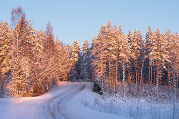 Snowy road winding through winter forest
