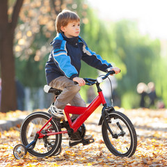 Happy boy with bicycle in the autumn park. Beauty nature scene with colorful foliage background, yellow trees and leaves at fall season. Autumn outdoor lifestyle. Boy  having fun on fall leaves