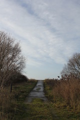 Obraz premium Abandonned road clmbing upwards and a blue sky with patches of dirt and water