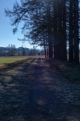 茨城牧場長野支場