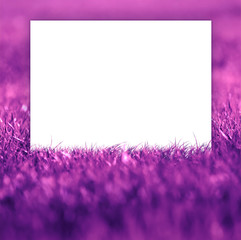Trendy Ultra Violet background made of fresh spring grass. Abstract purple backdrop.