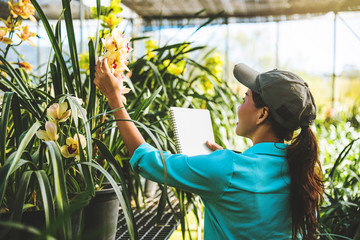 Asian woman travel relax orchid education write notes in the orchid garden,background orchid..