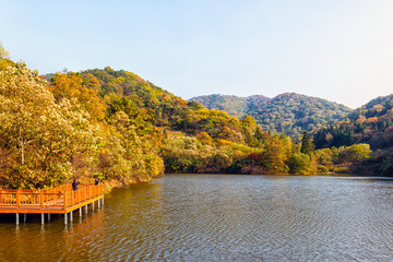 Fototapeta na wymiar The lake in the late Autumn