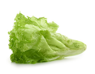 Fresh lettuce salad on white background