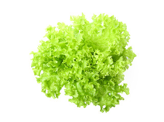 Fresh lettuce salad on white background