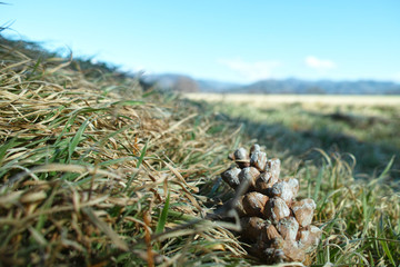 茨城牧場長野支場