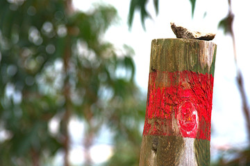 Trail right path sign