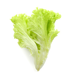 Fresh lettuce salad on white background