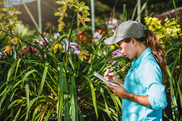 The girl notes the changes, orchid growth in the garden. Beautiful (Orchid) background in nature