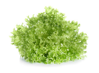 Obraz premium Fresh lettuce salad on white background