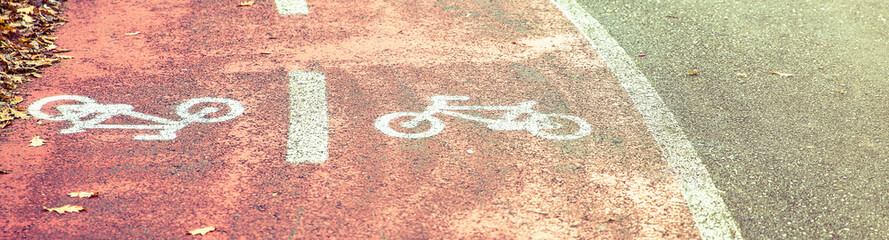 Bicycle road symbol on a street bike lane with autumn leaves in the sidewalk border