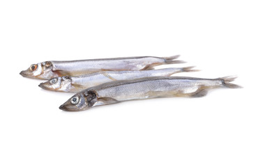 whole round fresh shishamo fish on white background