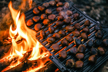 Chestnuts grilled in fire place. Camping