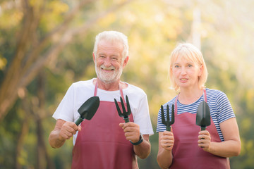 Elderly couple holding Garden equipment in park at sunset. Concept couple elder love