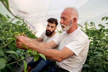 Family work in garden