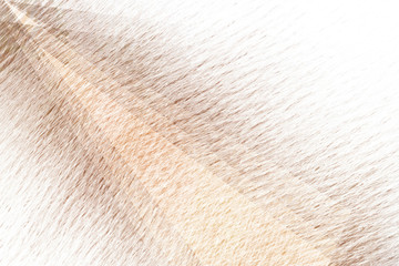 white lines on beige background - abstract background design